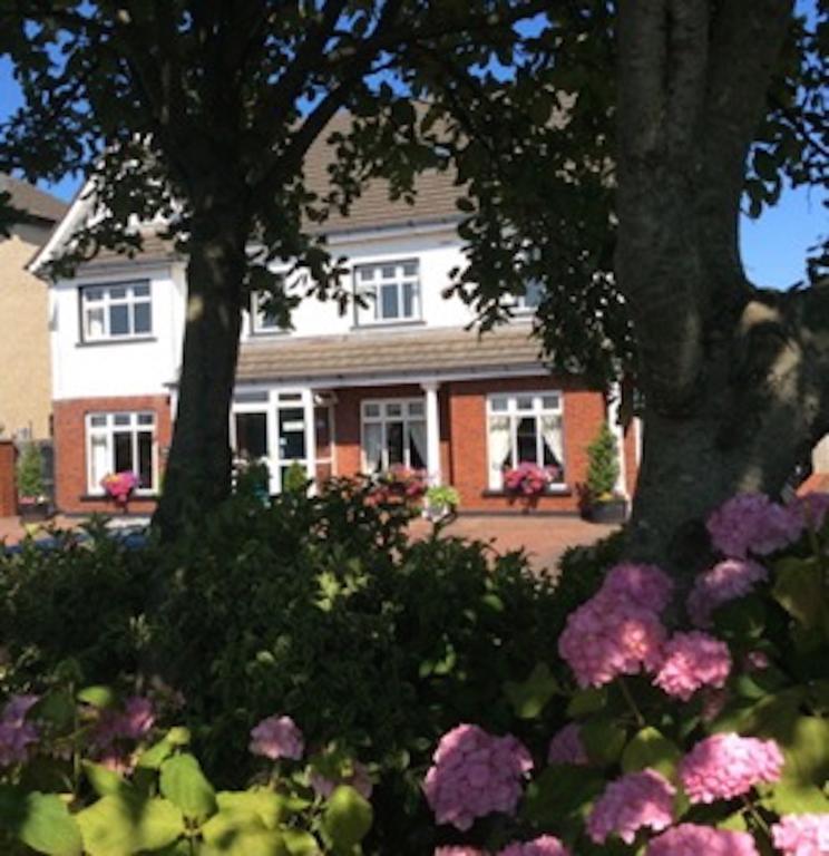 Westwinds Guestlodge Galway Eksteriør billede